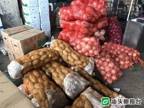 关注 汕头农副产品批发中心市场保障果蔬供应